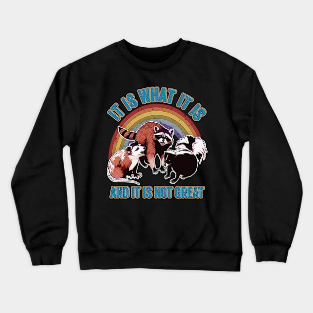 It Is What It Is And It Is Not Great Funny Raccoon Meme Crewneck Sweatshirt by masterpiecesai